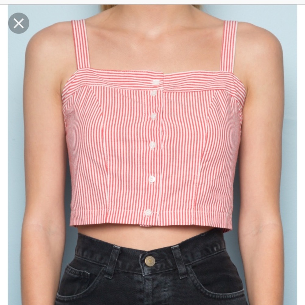 NWOT brandy Melville Astrid top (offers accepted)